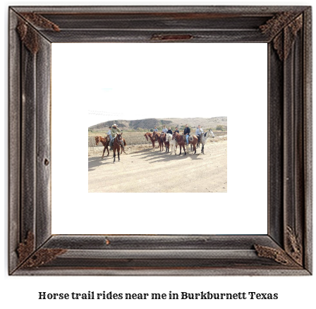 horse trail rides near me in Burkburnett, Texas